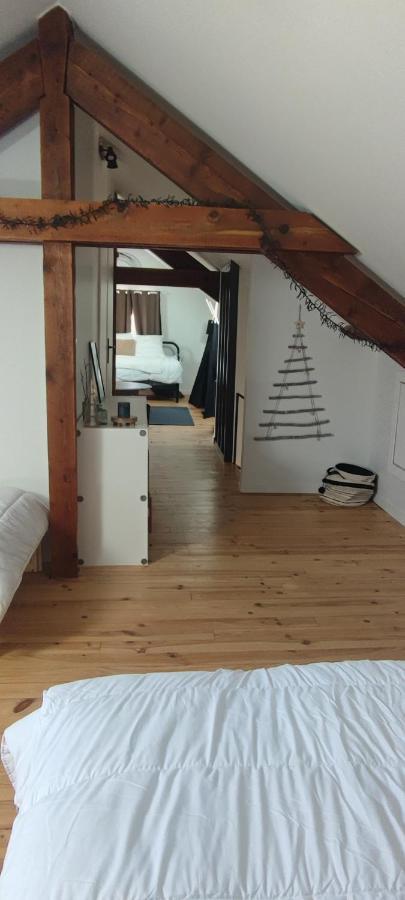 Lodge Loupau Maga Bagnères-de-Luchon 外观 照片
